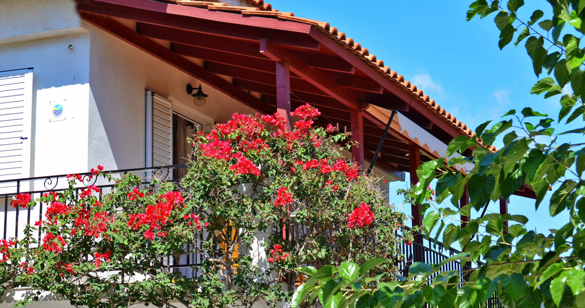 Lemonia Agios Sostis (Zakynthos)